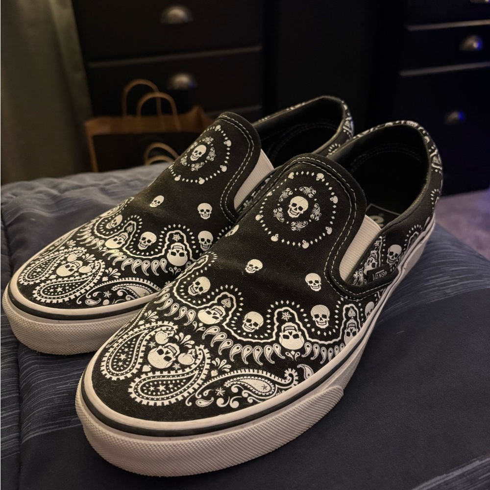 Vans Skulls Slip Ons